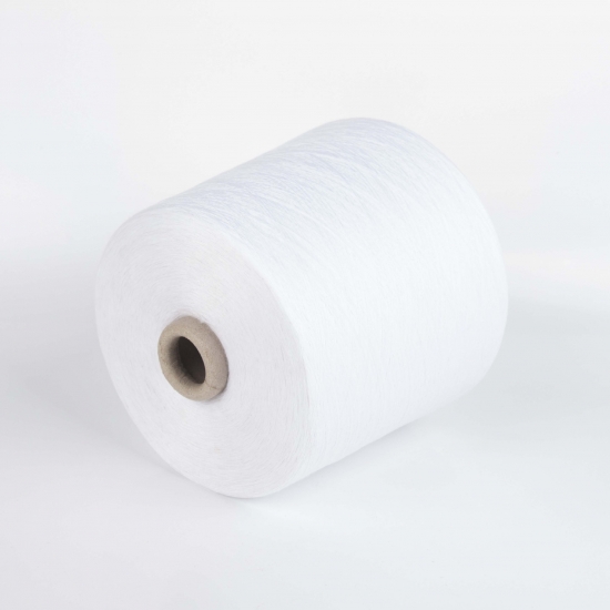 Polyester Spun Yarn 20/1
